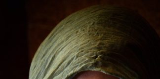 Czy cyrk ma prawo przetrwać?