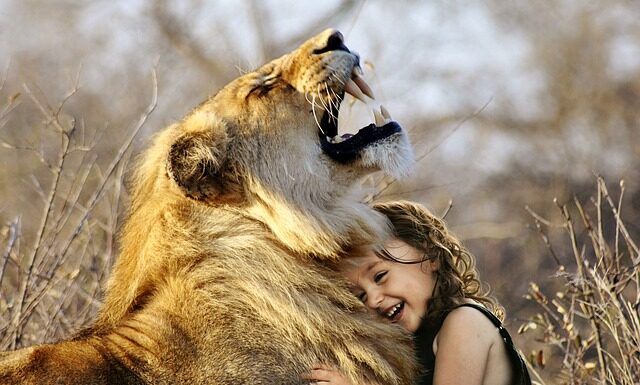 Co jest lepsze alfa czy omega?