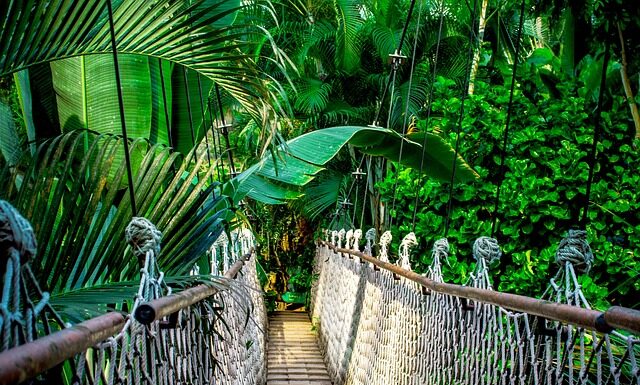 Jak długo trwa kurs Alfa?