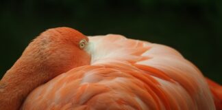 Kiedy odłączyć akumulator od prostownika?