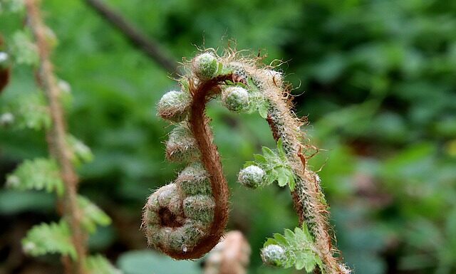 Jak wyprostować blachę po spawaniu?