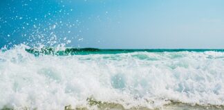 Czy wałek do malowania może być mokry?