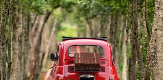 Co należy do Grupy Fiata?