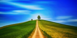 O co chodzi z alfa Omega i beta?